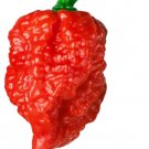 Fresh 25 Seeds Carolina Reaper Peppers Easy To Grow Vegetable Edible Garden