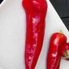 Fresh 25 Seeds Carmen Italian Sweet Peppers Easy To Grow Vegetable Edible Food Garden