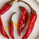 Fresh 25 Seeds Calabrian Chili Peppers Easy To Grow Vegetable Edible Food Garden