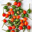 Fresh 25 Seeds Bird'S Eye Chili Peppers Easy To Grow Vegetable Edible Food Garden