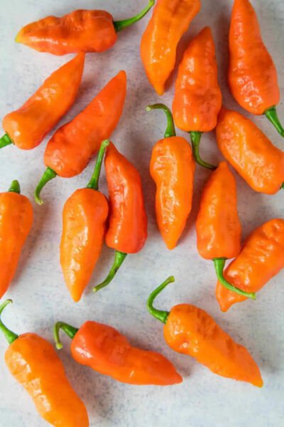 Fresh 25 Seeds Ghost Peppers Bhut Joloki Easy To Grow Vegetable Edible Food Garden