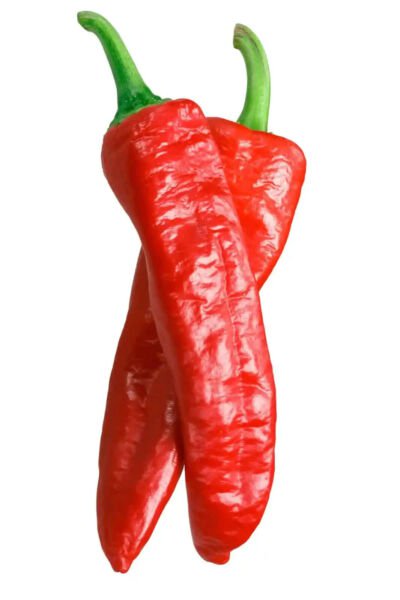 Fresh 25 Seeds Aleppo Peppers Large Vegetable Edible Food Hot Garden