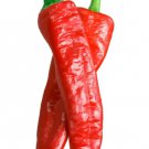 Fresh 25 Seeds Aleppo Peppers Large Vegetable Edible Food Hot Garden