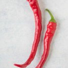 Fresh 25 Seeds Aji Sivri Chili Peppers Large Vegetable Edible Food Hot Garden