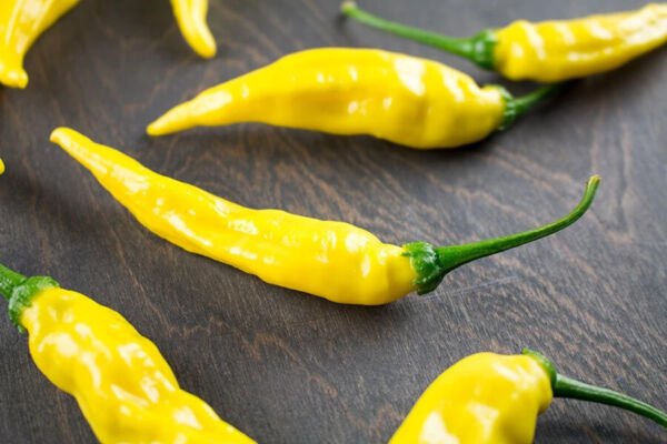 Fresh 25 Seeds Aji Pineapple Chili Peppers Large Vegetable Edible Food Hot Garden