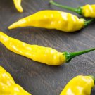 Fresh 25 Seeds Aji Pineapple Chili Peppers Large Vegetable Edible Food Hot Garden
