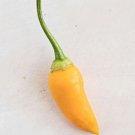 Fresh 25 Seeds Aji Habanero Chili Peppers Large Vegetable Edible Food Hot Garden