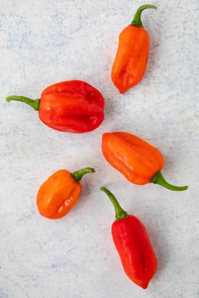 Fresh 25 Seeds Aji Dulce Peppers Large Vegetable Edible Food Hot Garden