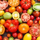 Fresh 50 Seeds Rainbow Mix Tomato Juicy Vegetable Planting Tomatoe Garden