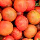 Fresh 50 Seeds Tigerella Tomato Juicy Vegetable Planting Tomatoe Garden