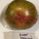 Fresh 50 Seeds Dwarf Peppermint Stripe Tomato Juicy Vegetable Planting Tomatoe Garden
