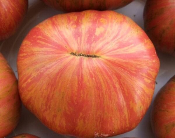 Fresh 50 Seeds Dwarf Firebird Tomato Juicy Vegetable Planting Tomatoes Garden