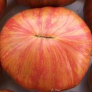 Fresh 50 Seeds Dwarf Firebird Tomato Juicy Vegetable Planting Tomatoes Garden