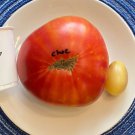 Fresh 50 Seeds Choemato Tomato Juicy Vegetable Planting Tomatoes Garden