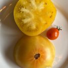 Fresh 50 Seeds Cc Mcgee Tomato Juicy Vegetable Planting Tomatoes Garden
