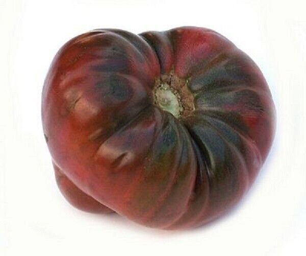 Fresh 50 Seeds Black Brandywine Tomato Juicy Vegetable Planting Tomatoes Garden