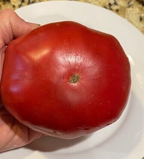 Fresh 50 Seeds Barnes Mountain Tomato Juicy Vegetable Planting Tomatoes Garden