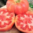 Fresh 50 Seeds Henderson’S Pink Tomato Juicy Vegetable Planting Tomatoes Garden