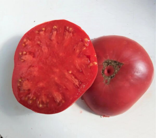 Fresh 50 Seeds Dester Tomato Juicy Vegetable Planting Tomatoes Garden