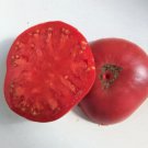 Fresh 50 Seeds Dester Tomato Juicy Vegetable Planting Tomatoes Garden