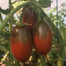 Fresh 50 Seeds Black Icicle Tomato Juicy Vegetable Planting Tomatoes Garden