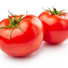 Fresh 50 Seeds Berkeley Tomato Juicy Vegetable Planting Tomatoes Garden