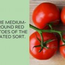 Fresh 50 Seeds Flamenco Tomato Juicy Vegetable Planting Tomatoes Garden