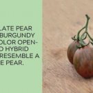 Fresh 50 Seeds Chocolate Pear Tomato Juicy Vegetable Planting Tomatoes Garden