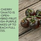 Fresh 50 Seeds Black Cherry Tomato Juicy Vegetable Planting Tomatoes Garden