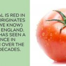 Fresh 50 Seeds Blaby Special Tomato Juicy Vegetable Planting Tomatoes Garden