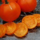 Fresh 50 Seeds Valencia Tomato Juicy Vegetable Planting Tomatoes Garden