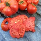 Fresh 50 Seeds Pantano Romanesco Tomato Juicy Vegetable Planting Tomatoes Garden