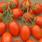 Fresh 50 Seeds Roma Tomato Vegetable Planting Tomatoe Garden