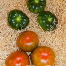 Fresh 50 Seeds Raf Tomato Vegetable Planting Tomatoe Garden