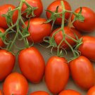 Fresh 50 Seeds Plum Tomato Vegetable Planting Tomatoe Garden