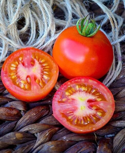 Fresh 50 Seeds Moneymaker Tomato Vegetable Planting Tomatoe Garden
