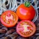 Fresh 50 Seeds Moneymaker Tomato Vegetable Planting Tomatoe Garden