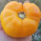 Fresh 50 Seeds Lillian’S Yellow Tomato Vegetable Planting Tomatoe Garden