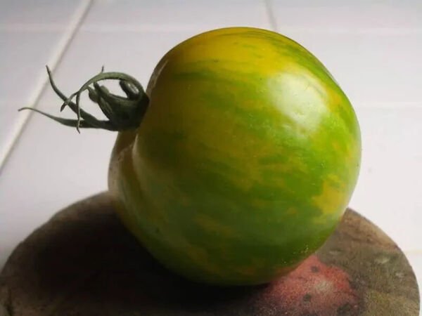 Fresh 50 Seeds Green Zebra Tomato Vegetable Planting Tomatoe Garden