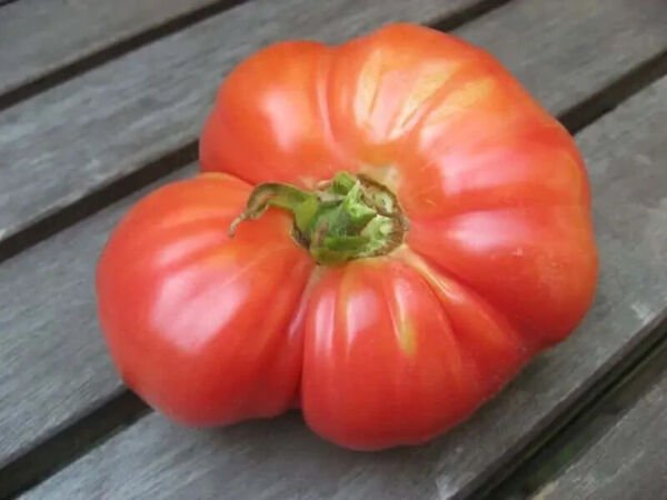 Fresh 50 Seeds German Johnson Tomato Vegetable Planting Tomatoe Garden