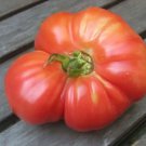 Fresh 50 Seeds German Johnson Tomato Vegetable Planting Tomatoe Garden