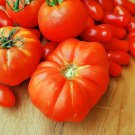 Fresh 50 Seeds Brandywine Tomato Vegetable Planting Tomatoe Garden