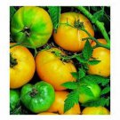 Fresh 50 Seeds Azoychka Tomato Vegetable Planting Tomatoe Garden