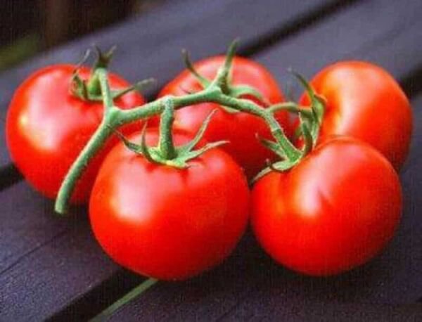 Fresh 50 Seeds Alicante Tomato Vegetable Planting Tomatoe Garden