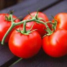 Fresh 50 Seeds Alicante Tomato Vegetable Planting Tomatoe Garden