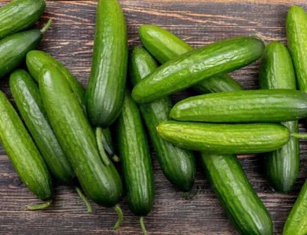 Fresh 25 Seeds Mississippi Cucumbers Batch Planting Vegetable Southern Garden