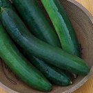 Fresh 25 Seeds Sweet Success Cucumbers 12/14"" Long Cucks 54 Garden