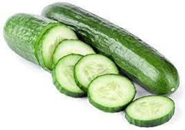 Fresh 25 Seeds Long Green Improved Cucumbers Heirloom Cucks Vegetable Crispy Pickling Garden