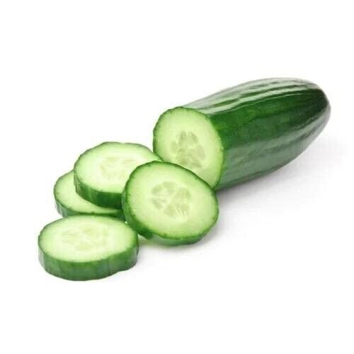 Fresh 25 Seeds Washington Cucumbers Fast Growing Vegetable Planting Cucks Cann Garden