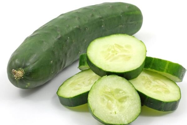 Fresh 25 Seeds Ohio Cucumbers Great Slicing Pickling Salads Planting Vegetable Garden